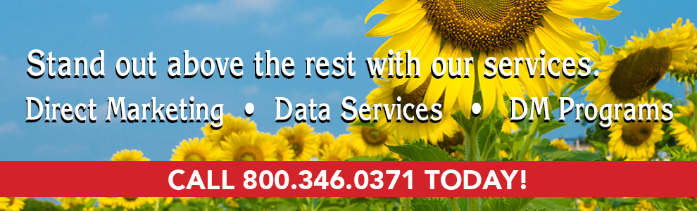 You'll stand out above the rest with our services.. Now offering: direct marketing, data services, and D.M. programs